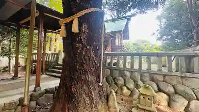 関神社(三重県)