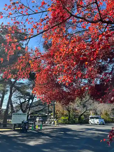 高麗神社(埼玉県)
