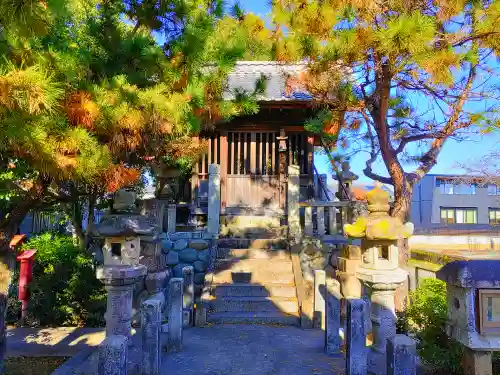 白鬚神社（上中町一色）の本殿・本堂