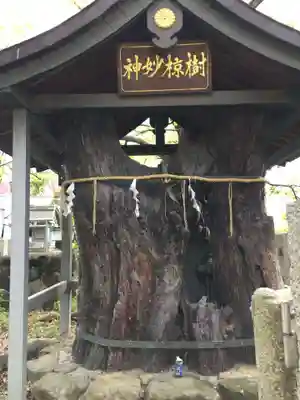 大聖勝軍寺のその他建物