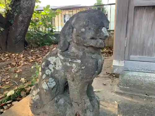 白幡神社の狛犬