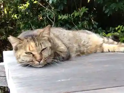 久米寺(奈良県)
