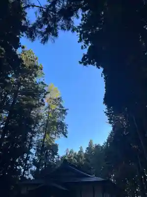 大宮温泉神社(栃木県)