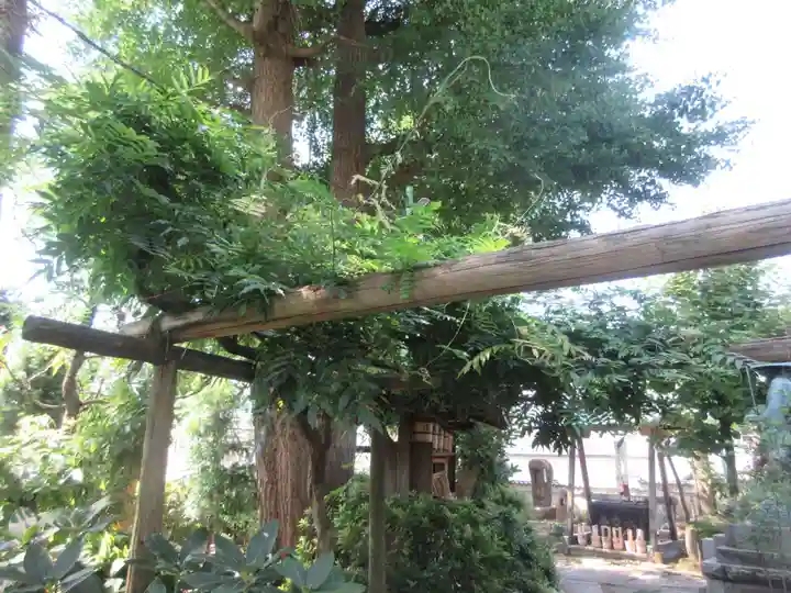 普門院(神奈川県)