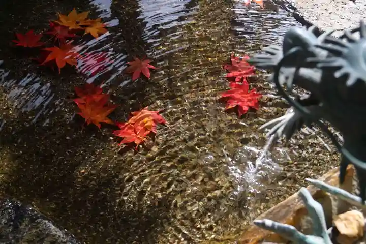 鹿島大神宮の手水舎