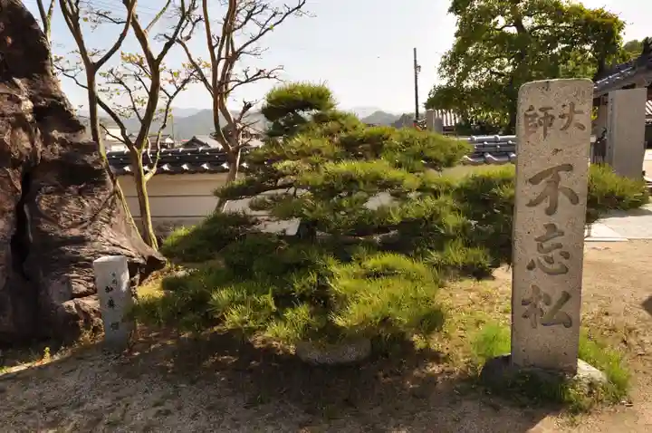 泰山寺(愛媛県)