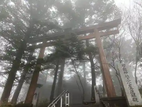 石鎚神社　土小屋遥拝殿の鳥居
