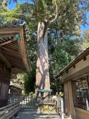 事任八幡宮(静岡県)
