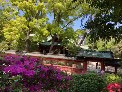 根津神社のその他建物