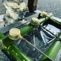 滑川神社 - 仕事と子どもの守り神の手水舎