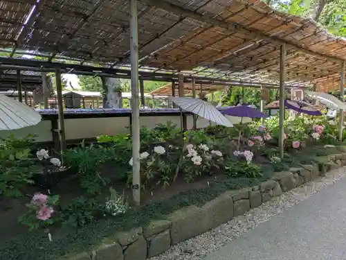 上野東照宮(東京都)