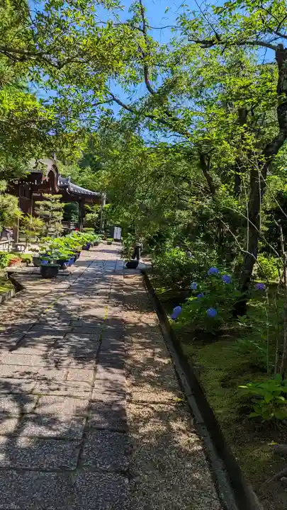 法金剛院(京都府)