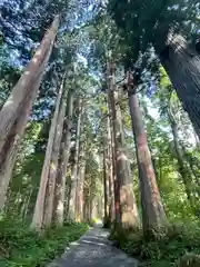 戸隠神社九頭龍社(長野県)