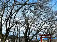 子檀嶺神社(長野県)