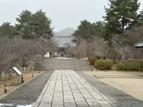 仁和寺の{uncategorized: "未分類", other: "その他", undefined: "問題あり", building: "その他建物", grave: "お墓", sacred_gate: "鳥居", guardian: "狛犬", statue: "像", buddha: "仏像", history: "歴史", nature: "自然", garden: "庭園", animal: "動物", pagoda: "塔", temizu: "手水舎", mountain_gate: "山門・神門", sanctuary: "本殿・本堂", subordinate: "末社・摂社", art: "芸術", scenery: "景色", jizo: "地蔵", ema: "絵馬", goshuin: "御朱印", omikuji: "おみくじ", items: "授与品その他", amulet: "お守り", goshuincho: "御朱印帳", eats: "食事", festival: "お祭り", votive_dance: "神楽", shichigosan: "七五三参", wedding: "結婚式", experience: "体験その他", initially: "初詣", around: "周辺", anti_infection: "感染症対策"}