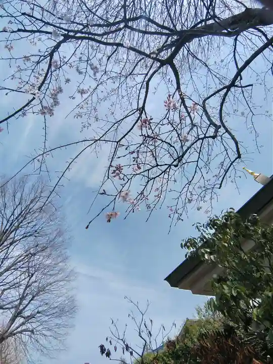 本立寺(東京都)