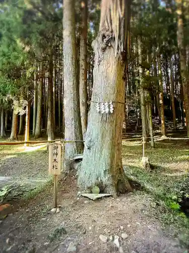 黒川神社(宮城県)