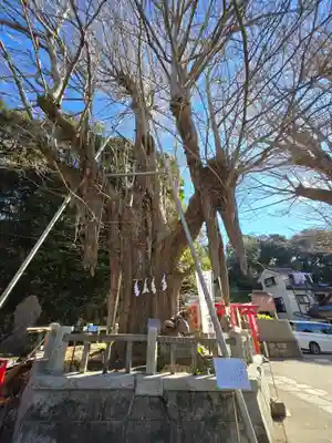 海南神社(神奈川県)