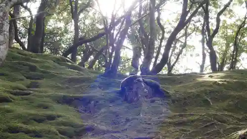 慈照寺（慈照禅寺・銀閣寺）(京都府)