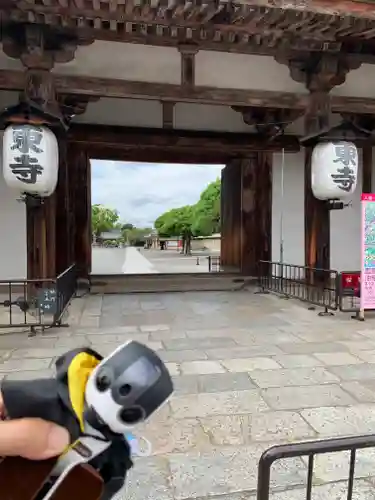 東寺（教王護国寺）(京都府)