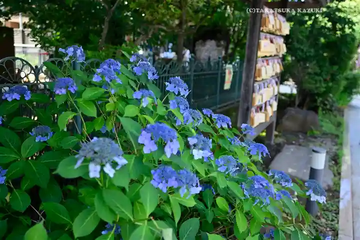 桜神宮(東京都)