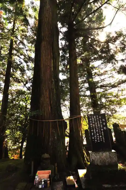 諭鶴羽神社(兵庫県)
