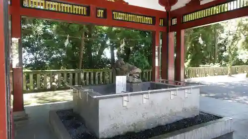 鹿児島神宮(鹿児島県)