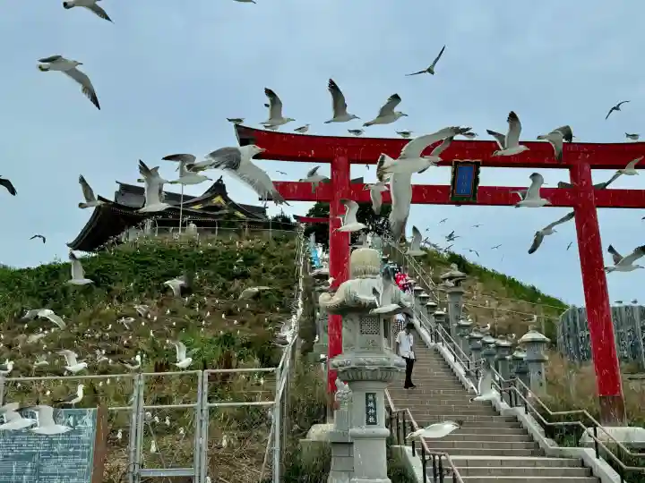 蕪嶋神社の{uncategorized: "未分類", other: "その他", undefined: "問題あり", building: "その他建物", grave: "お墓", sacred_gate: "鳥居", guardian: "狛犬", statue: "像", buddha: "仏像", history: "歴史", nature: "自然", garden: "庭園", animal: "動物", pagoda: "塔", temizu: "手水舎", mountain_gate: "山門・神門", sanctuary: "本殿・本堂", subordinate: "末社・摂社", art: "芸術", scenery: "景色", jizo: "地蔵", ema: "絵馬", goshuin: "御朱印", omikuji: "おみくじ", items: "授与品その他", amulet: "お守り", goshuincho: "御朱印帳", eats: "食事", festival: "お祭り", votive_dance: "神楽", shichigosan: "七五三参", wedding: "結婚式", experience: "体験その他", initially: "初詣", around: "周辺", anti_infection: "感染症対策"}