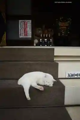 今戸神社(東京都)