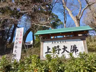 上野大佛(東京都)