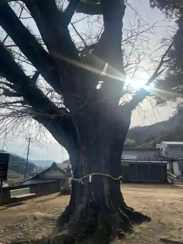 賀茂神社(和歌山県)