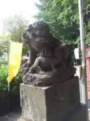 千住神社の狛犬