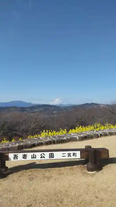 吾妻神社の御朱印