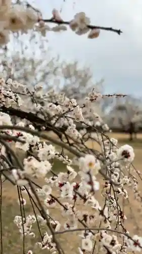 神前神社(岡山県)