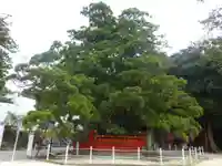 香椎宮(福岡県)