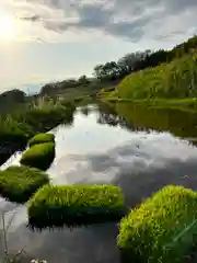 稲倉棚田社の自然