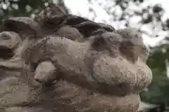 鎮守氷川神社の狛犬