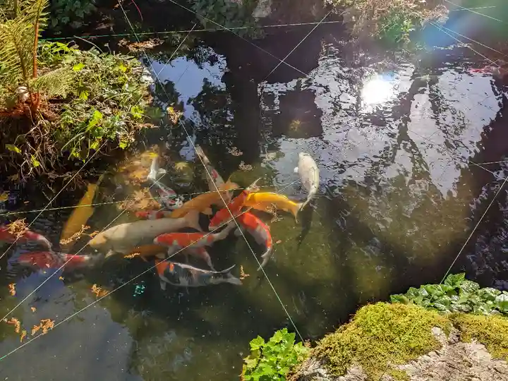 明通寺(福井県)