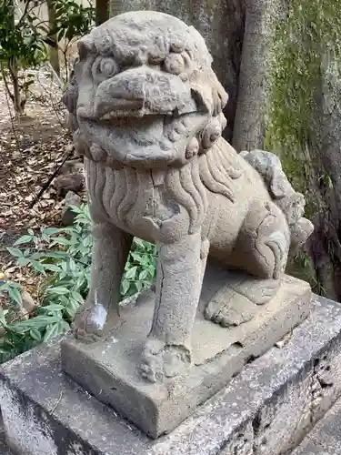 白峯神宮の狛犬