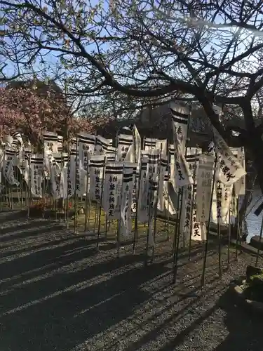 鶴岡八幡宮(神奈川県)