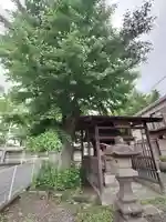 蘇我比咩神社(千葉県)