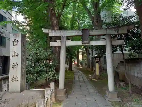 荻窪白山神社(東京都)