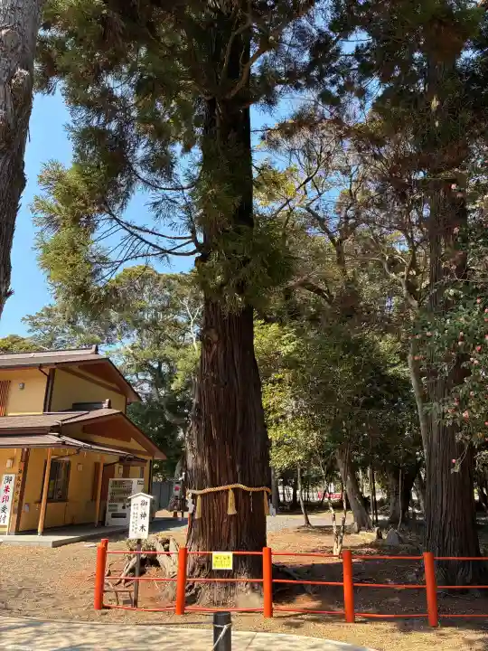 息栖神社の{uncategorized: "未分類", other: "その他", undefined: "問題あり", building: "その他建物", grave: "お墓", sacred_gate: "鳥居", guardian: "狛犬", statue: "像", buddha: "仏像", history: "歴史", nature: "自然", garden: "庭園", animal: "動物", pagoda: "塔", temizu: "手水舎", mountain_gate: "山門・神門", sanctuary: "本殿・本堂", subordinate: "末社・摂社", art: "芸術", scenery: "景色", jizo: "地蔵", ema: "絵馬", goshuin: "御朱印", omikuji: "おみくじ", items: "授与品その他", amulet: "お守り", goshuincho: "御朱印帳", eats: "食事", festival: "お祭り", votive_dance: "神楽", shichigosan: "七五三参", wedding: "結婚式", experience: "体験その他", initially: "初詣", around: "周辺", anti_infection: "感染症対策"}
