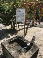 皆生温泉神社の手水