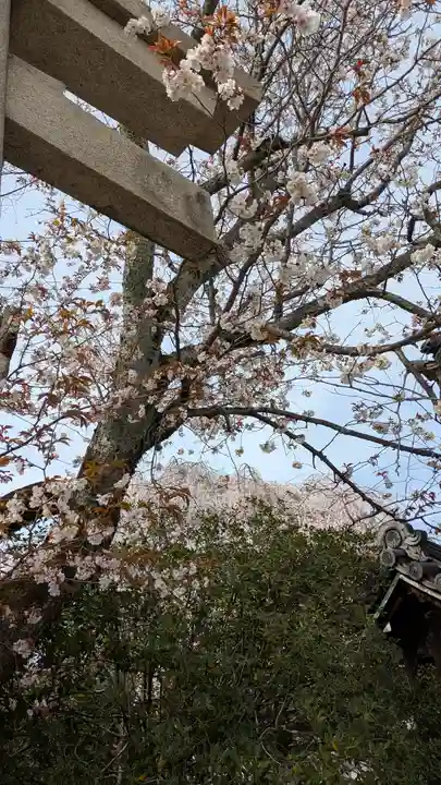 本満寺(本願満足寺)(京都府)