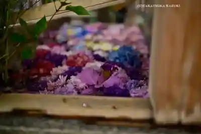 東京大神宮(東京都)