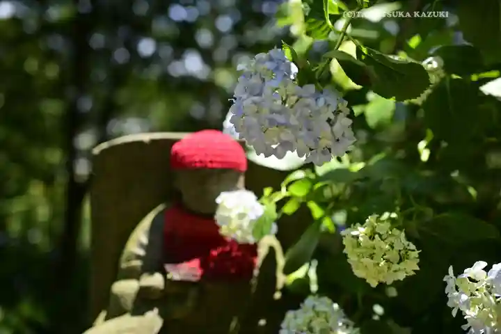 高幡不動尊 金剛寺(東京都)