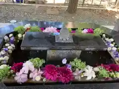 新琴似神社の手水