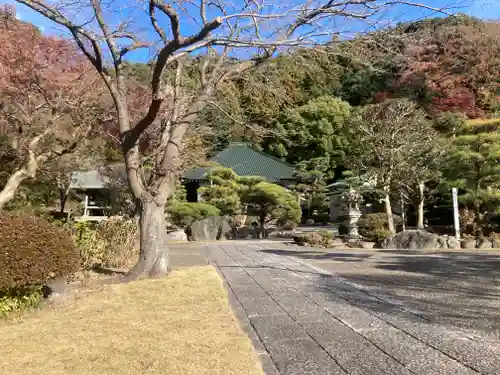 大長寺(神奈川県)