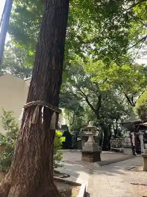 駒繋神社(東京都)